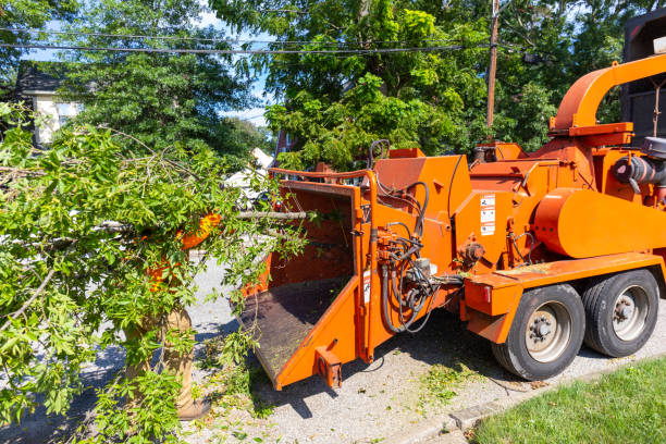 Best Stump Grinding Near Me  in Richfield, UT